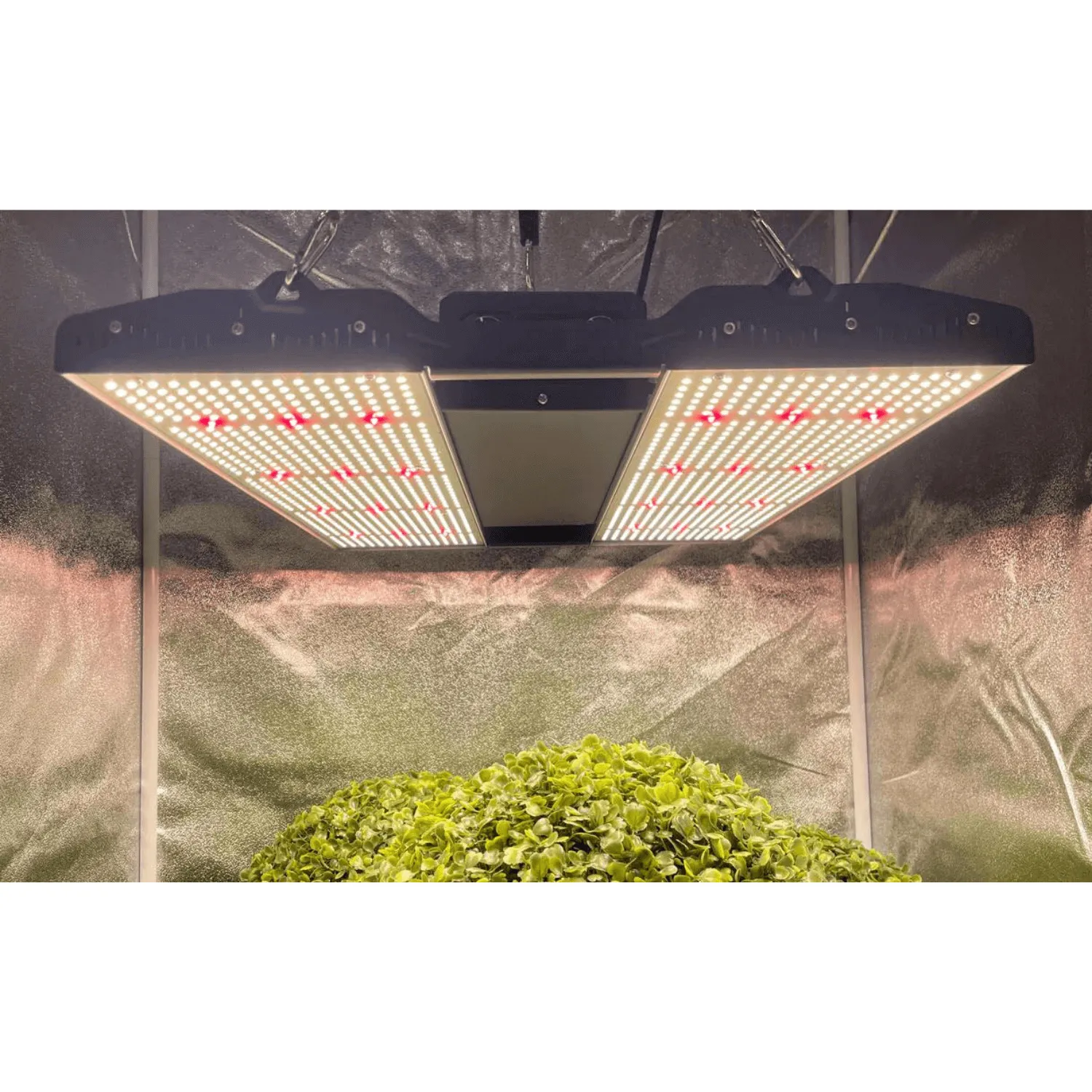 Medic Grow Mini Sun-2 150W Full Cycle LED Grow Light